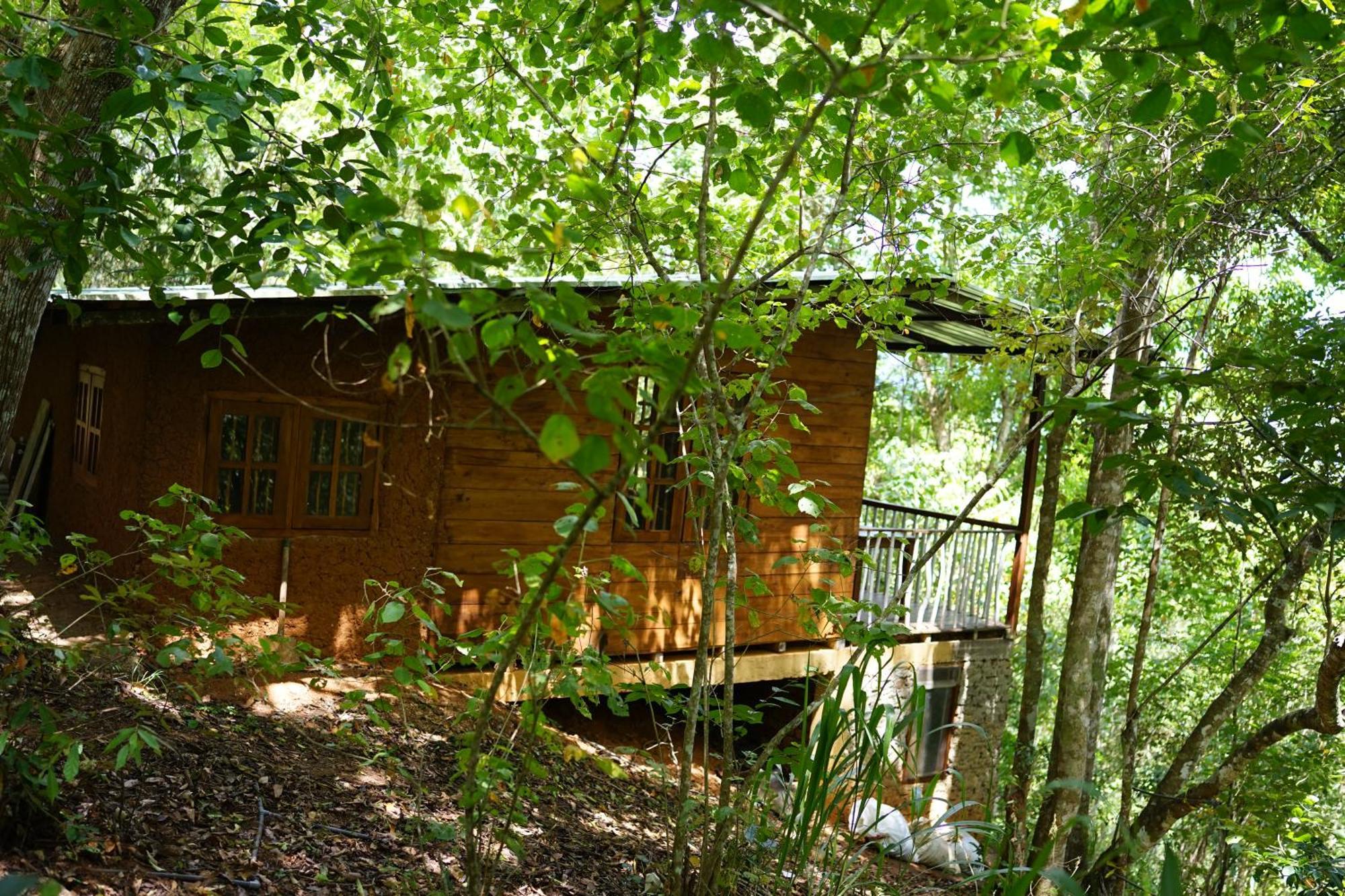 Polwaththa Eco Lodges Дигана Экстерьер фото